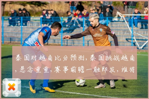 泰国对越南比分预测,泰国挑战越南,悬念重重,赛事前瞻一触即发,谁将问鼎